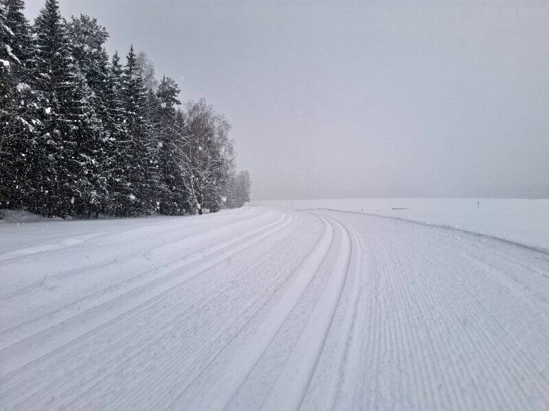 Трасса лыжная .Максима Парк, состояние на 14 февраля 2026 по отзыву, фото 11. 